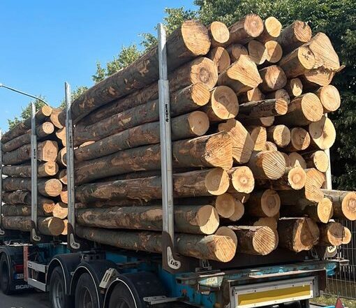 Buchenstammholz — komplette LKW-Ladung 50 Raummeter — PEFC- und FSC-zertifiziert